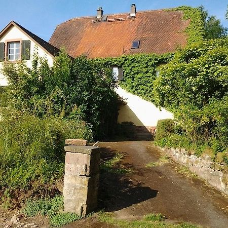 Gastehaus Zum Alten Schulhaus Hotel Miltenberg Szoba fotó
